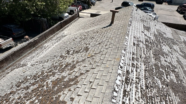 Shingle roof with significant wear and missing granules, showing deterioration and signs of aging; cars and trees are visible in the background.