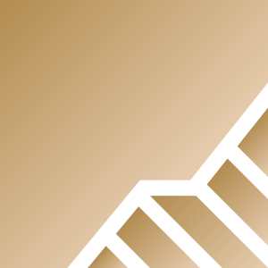 Beige geometric shapes symbolizing Dry Rot Wood Repair.